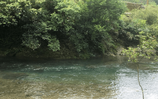 溪流危險在哪？比水深更重要的是流速